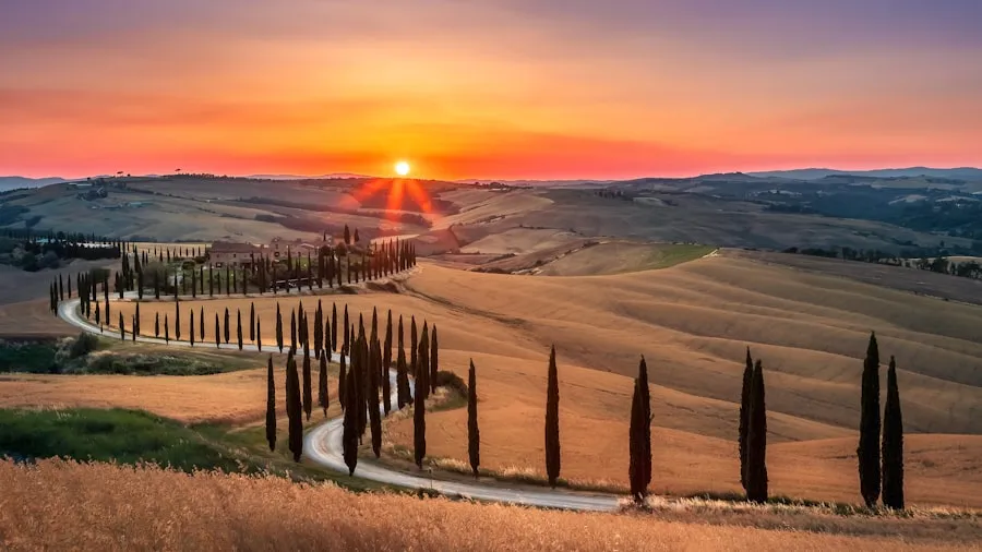 Strada di cipressi in Val d'Orcia al tramonto — il cammino terapeutico che si dispiega passo dopo passo